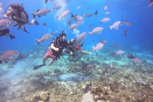 San Andres: Diving Mini Course