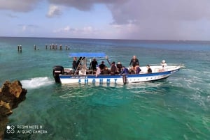San Andres: Diving Mini Course