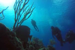 San Andres: Diving Mini Course