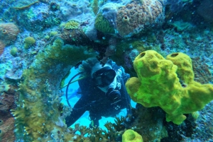 San Andrés: Double Dive Tour for Certified Divers