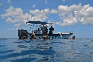 San Andrés: Double Dive Tour for Certified Divers
