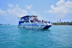 SAN ANDRES:COMBO Fullday Jhonny cay ó Acuario, Tour Bahía,Vuelta Isla chiva