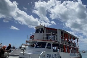 SAN ANDRES:COMBO Fullday Jhonny cay ó Acuario, Tour Bahía,Vuelta Isla chiva