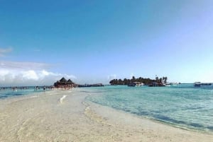 SAN ANDRES:COMBO Fullday Jhonny cay ó Acuario, Tour Bahía,Vuelta Isla chiva