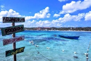 SAN ANDRES:COMBO Fullday Jhonny cay ó Acuario, Tour Bahía,Vuelta Isla chiva