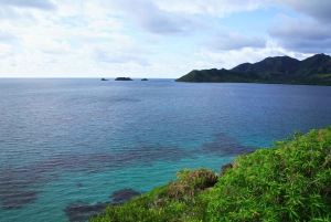 San Andrés: Guided Cays and Mangroves Tour
