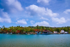 San Andrés: Guided Cays and Mangroves Tour