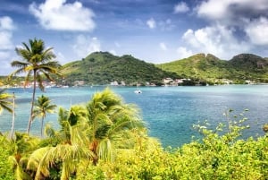 San Andrés: Guidet tur til bugter og mangrover