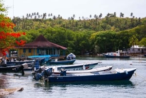 San Andrés: Guidet tur til bugter og mangrover