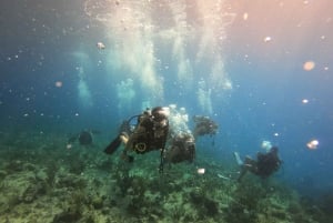 San Andrés: Guided Scuba Diving Trip with Hotel Transfer