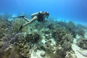 San Andrés: Guided Scuba Diving Trip with Hotel Transfer