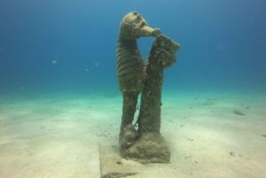 San Andrés: Guided Scuba Diving Trip with Hotel Transfer