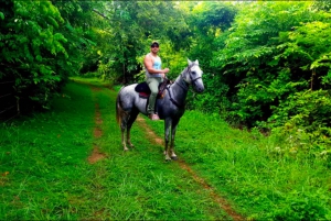 San Andres: Horse Riding Tour