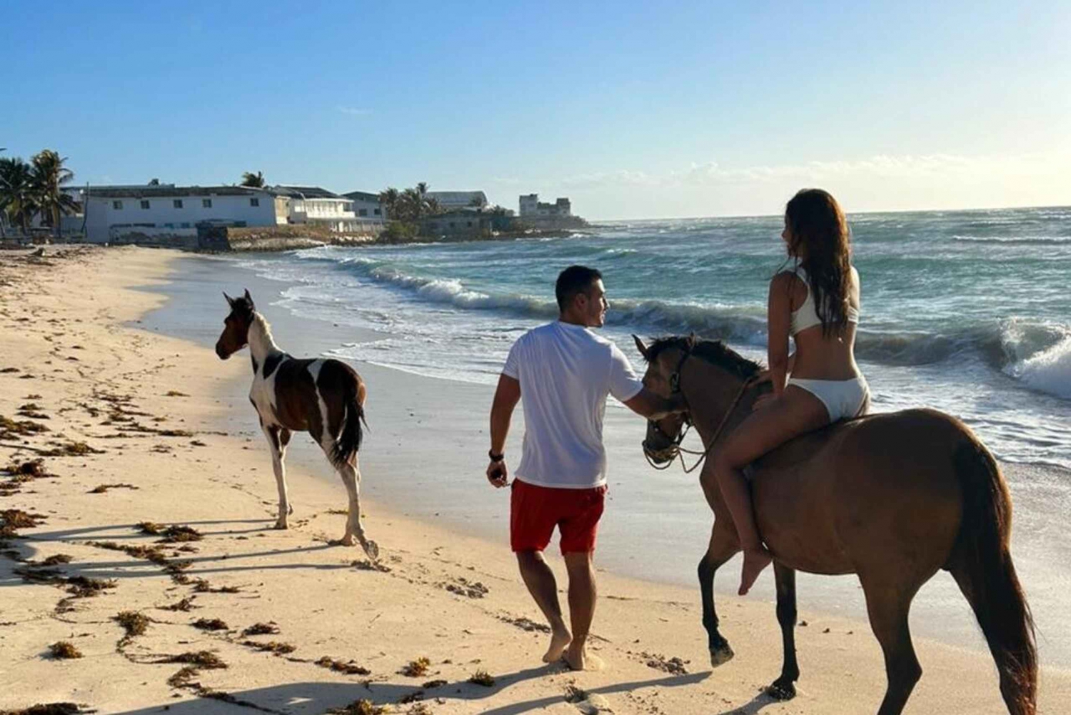 SAN ANDRES: HORSEBACK RIDING ON THE BEACH 1 HOUR