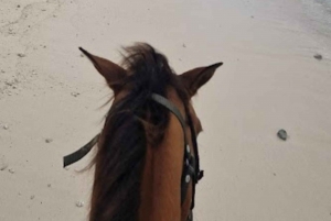 SAN ANDRES: 1-HOUR BEACH RIDING