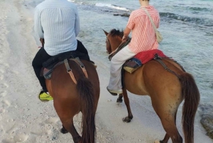 SAN ANDRES: 1-HOUR BEACH RIDING