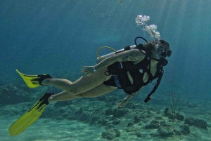 San Andrés Island: Personalized Mini Scuba Diving Course