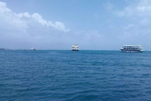 サン・アンドレス：パラセーリングで7色の海を飛んでみませんか