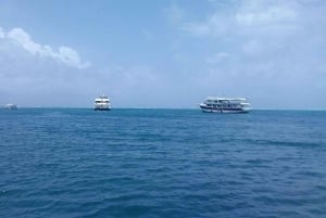 SAN ANDRES: PARASAIL—FLY OVER THE SEA OF 7 COLORS
