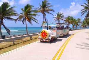 SAN ANDRES: 's ochtends of 's middags terug naar het eiland met de trein + blaasgat