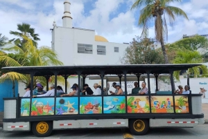 サンアンドレス島：午前または午後に電車 + ブローホールで島に戻る