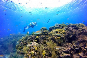 San Andres: SCUBA Diving Experience with Hotel Pickup