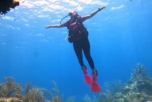 San Andres: SCUBA Diving Experience with Hotel Pickup