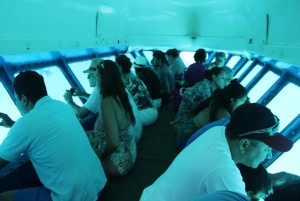 San Andrés: Tutustu seitsemänväriseen mereen puolisukellusveneellä