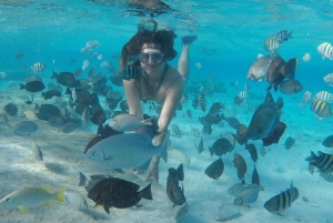 San Andrés: trasferimento in barca + acquario naturale
