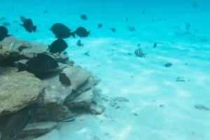 San Andrés: trasferimento in barca + acquario naturale