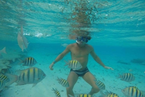 San Andrés: trasferimento in barca + acquario naturale