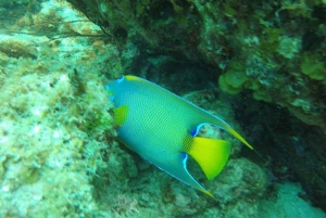 San Andrés: trasferimento in barca + acquario naturale