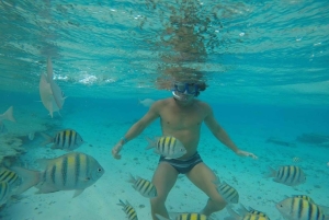 San Andrés: kuljetus veneellä + luonnollinen akvaario