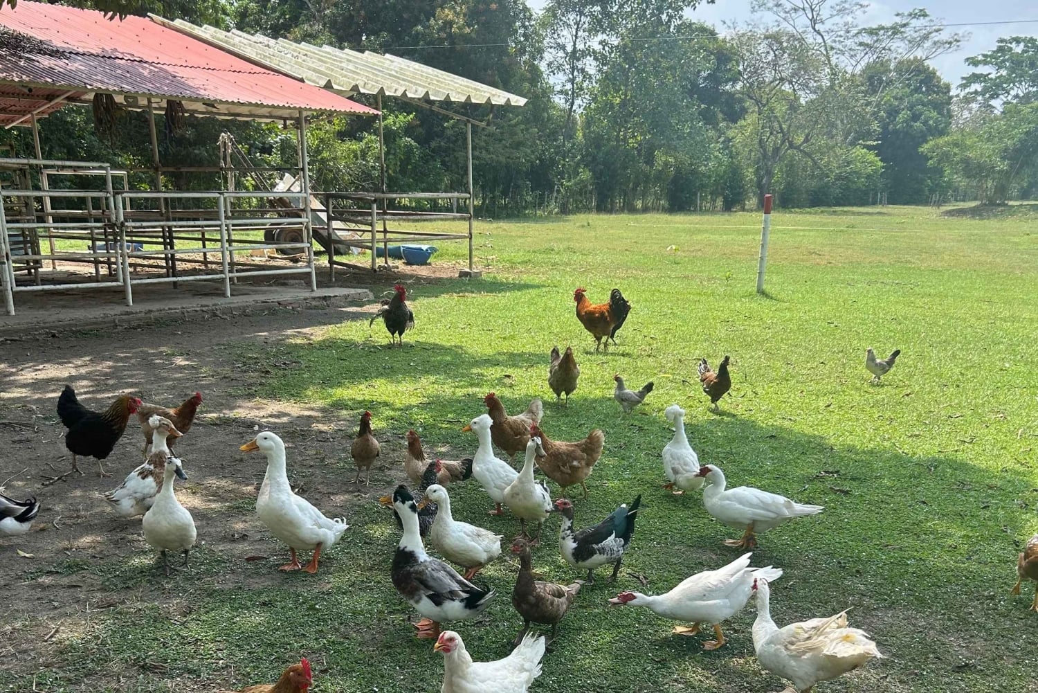 San Basilio de Palenque, wortels en routes, de essentie van Cartagena.