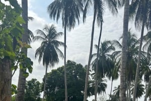 San Basilio de Palenque, wortels en routes, de essentie van Cartagena.