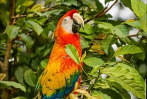 San Basilio de Palenque, wortels en routes, de essentie van Cartagena.
