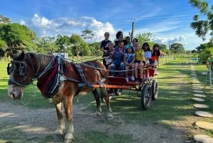 San Basilio de Palenque, wortels en routes, de essentie van Cartagena.