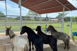 San Basilio de Palenque, wortels en routes, de essentie van Cartagena.