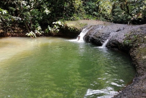 San Cipriano Rainforest Reserve: Amazing day trip