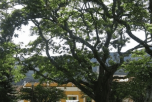 San Gil: Byrundtur til Paramo og San José fra San Gil