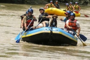 San Gil Fonce River Rafting: Adventure and Nature on Board