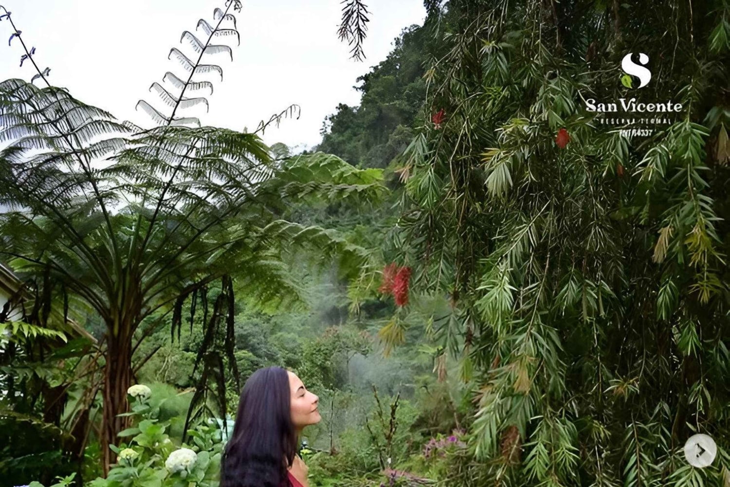 TERMALES SAN VICENTE PLUS WELLNESS-RUTE I SANTA ROSA DE CABAL