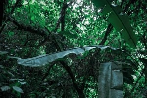 TERMALES SAN VICENTE PLUS WELLNESS-RUTE I SANTA ROSA DE CABAL