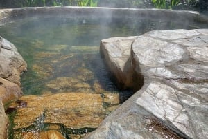 TERMALES SAN VICENTE PLUS WELLNESS-RUTE I SANTA ROSA DE CABAL