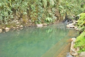 TERMALES SAN VICENTE PLUS WELLNESS-RUTE I SANTA ROSA DE CABAL