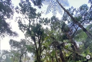 TERMALES SAN VICENTE PLUS WELLNESS-RUTE I SANTA ROSA DE CABAL