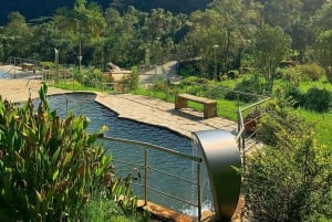 TERMALES SAN VICENTE PLUS WELLNESS-RUTE I SANTA ROSA DE CABAL