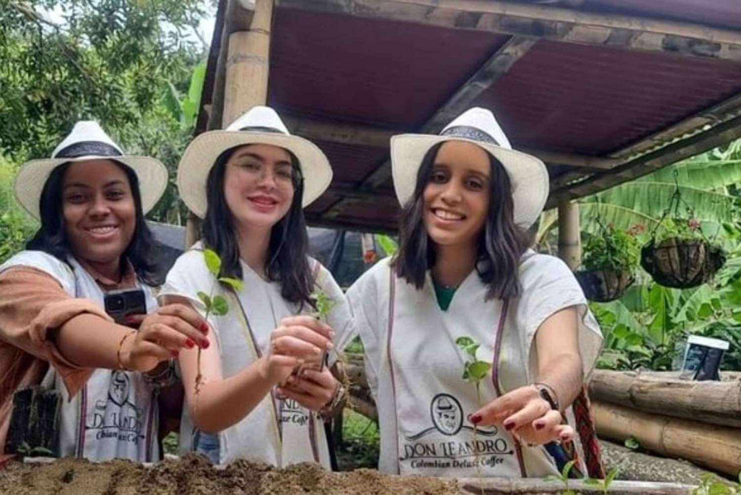 Санта-Фе-де-Антьокия + кофейный тур из Медельина, частный тур