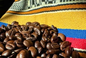 Санта-Фе-де-Антьокия + кофейный тур из Медельина, частный тур