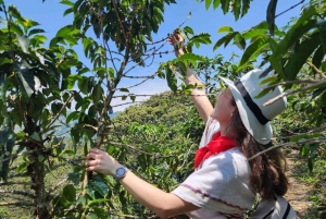 Санта-Фе-де-Антьокия + кофейный тур из Медельина, частный тур